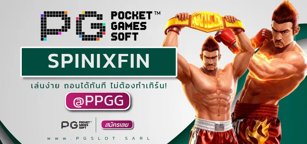 SPINIXFIN